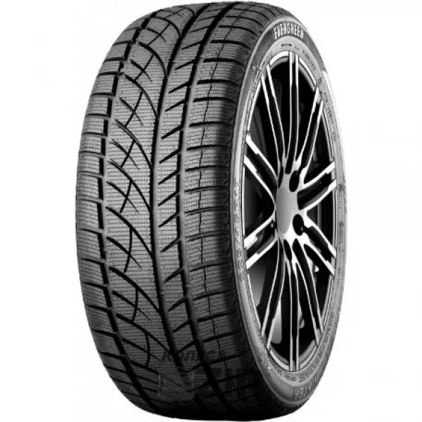 Evergreen Winter EW66