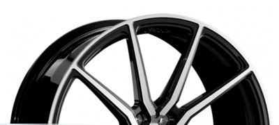LS FORGED LS FG01