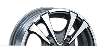 LS 309