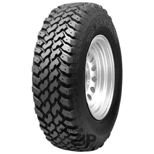Nexen Roadian MT