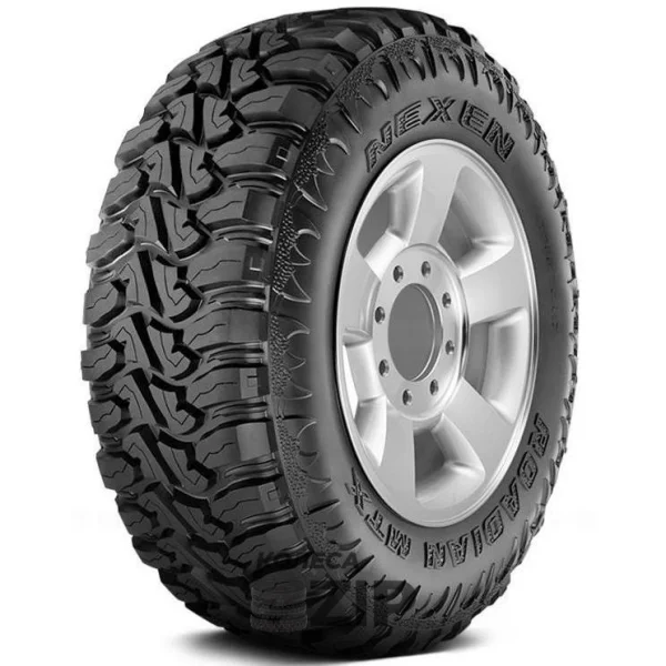 Nexen Roadian MTX RM7