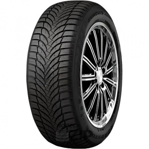 Roadstone Eurovis Alpine 2 185/65 R15 92T